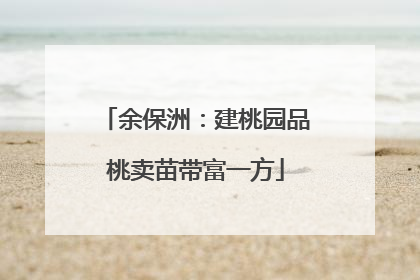 余保洲：建桃园品桃卖苗带富一方